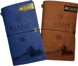 彩神VI首頁-追求健康,你我一起成長